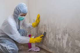 Best Mold Prevention Services  in USA